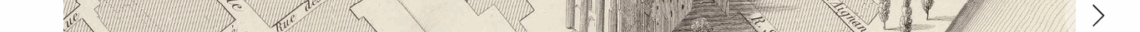 St Aignan - C. Pensées